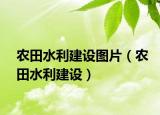 农田水利建设图片（农田水利建设）