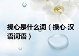 操心是什么词（操心 汉语词语）