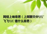 网络上啥意思（上网聊天中\