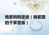 杨紫妈妈是谁（杨紫璐的干爹是谁）