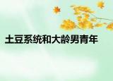 土豆系统和大龄男青年