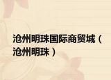 沧州明珠国际商贸城（沧州明珠）