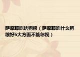 萨摩耶吃啥狗粮（萨摩耶吃什么狗粮好5大方面不能忽视）