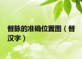 督脉的准确位置图（督 汉字）