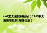cad里无法复制粘贴（CAD中无法使用复制 黏贴优质）