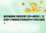 鎬庝箞灏嗚棰戣浆鎹㈡垚flv鏍煎紡（怎样将FLV视频格式转换成RMVB格式视频）