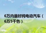 6万内最好纯电动汽车（6万5千色）