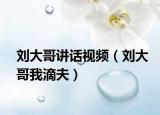 刘大哥讲话视频（刘大哥我滴夫）