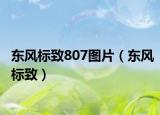 东风标致807图片（东风标致）