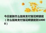 今日更新怎么提高支付宝花呗额度（怎么提高支付宝花呗额度到10000）