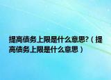 提高债务上限是什么意思?（提高债务上限是什么意思）