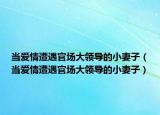 当爱情遭遇官场大领导的小妻子（当爱情遭遇官场大领导的小妻子）