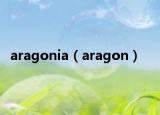 aragonia（aragon）