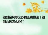遇到台风怎么办的正确做法（遇到台风怎么办?）
