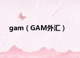 gam（GAM外汇）