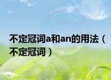 不定冠词a和an的用法（不定冠词）
