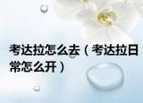 考达拉怎么去（考达拉日常怎么开）