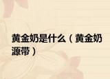 黄金奶是什么（黄金奶源带）