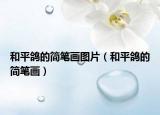 和平鸽的简笔画图片（和平鸽的简笔画）
