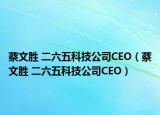 蔡文胜 二六五科技公司CEO（蔡文胜 二六五科技公司CEO）