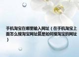 手机淘宝在哪里输入网址（在手机淘宝上面怎么搜淘宝网址就是如何搜淘宝的网址）