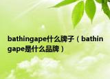 bathingape什么牌子（bathingape是什么品牌）
