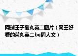 网球王子菊丸英二图片（网王好看的菊丸英二bg同人文）
