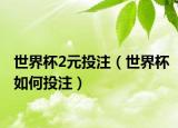 世界杯2元投注（世界杯如何投注）
