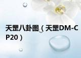 天罡八卦图（天罡DM-CP20）