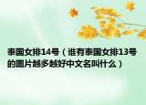 泰国女排14号（谁有泰国女排13号的图片越多越好中文名叫什么）