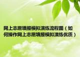 网上志愿填报模拟演练流程图（如何操作网上志愿填报模拟演练优质）