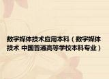 数字媒体技术应用本科（数字媒体技术 中国普通高等学校本科专业）
