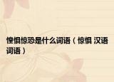 惶惧惊恐是什么词语（惊惧 汉语词语）