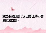 武汉市汉口路（汉口路 上海市黄浦区汉口路）