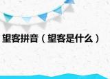 望客拼音（望客是什么）