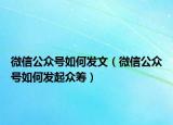微信公众号如何发文（微信公众号如何发起众筹）