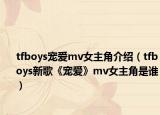 tfboys宠爱mv女主角介绍（tfboys新歌《宠爱》mv女主角是谁）