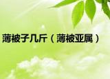 薄被子几斤（薄被亚属）