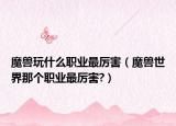 魔兽玩什么职业最厉害（魔兽世界那个职业最厉害?）