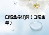 白蜡金命详解（白蜡金命）