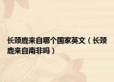 长颈鹿来自哪个国家英文（长颈鹿来自南非吗）