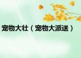 宠物大壮（宠物大派送）