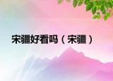 宋疆好看吗（宋疆）
