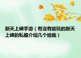 新天上碑手游（有没有能玩的新天上碑的私服介绍几个给我）