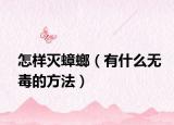 怎样灭蟑螂（有什么无毒的方法）
