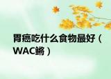 胃癌吃什么食物最好（WAC鳉）