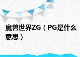 魔兽世界ZG（PG是什么意思）