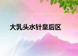 大乳头水针皇后区