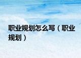 职业规划怎么写（职业规划）