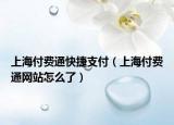 上海付费通快捷支付（上海付费通网站怎么了）